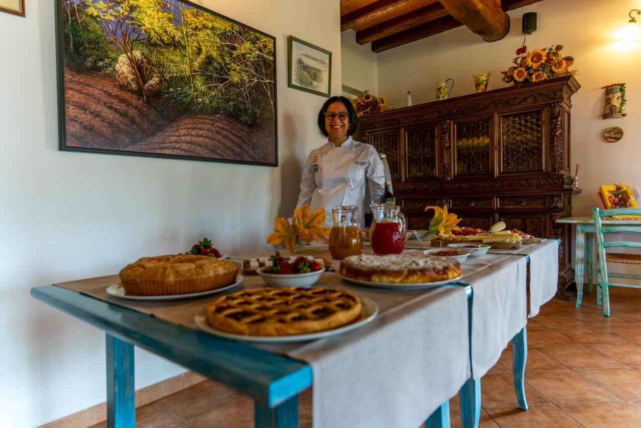 Agriturismo La Banchella Scarlino Eksteriør billede